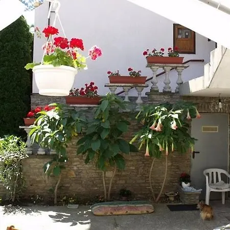 Guest house Magdi Panzio Heviz